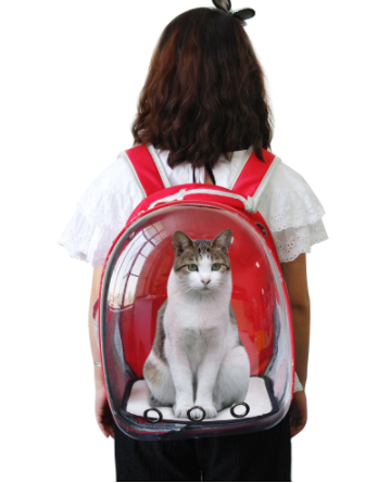 mochila gato
